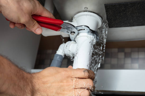 Best Carpet water damage restoration  in Celebration, FL