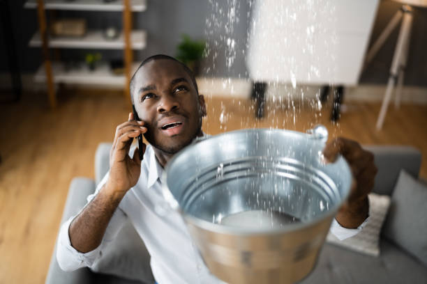 Best Water damage restoration insurance claims  in Celebration, FL