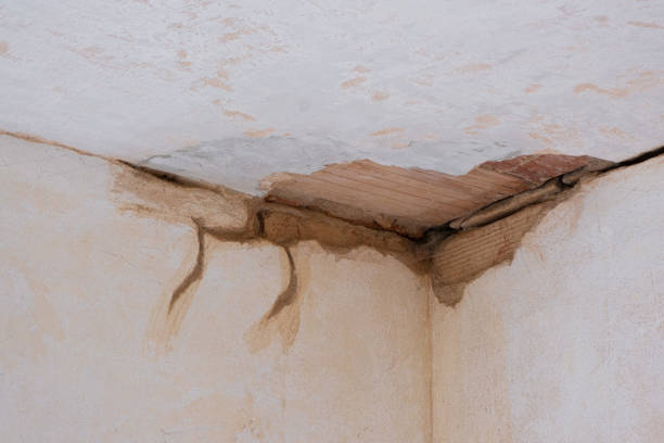Best 24-hour water damage restoration  in Celebration, FL