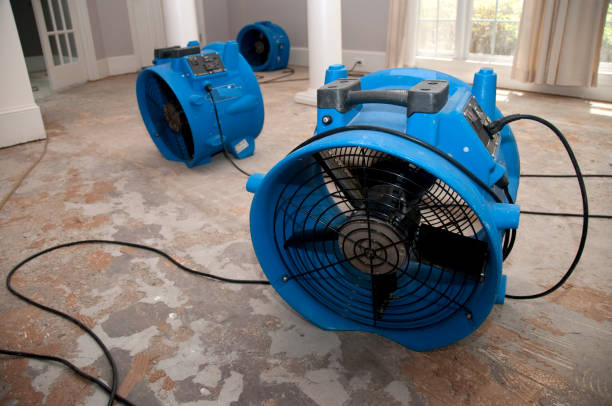 Best Flood restoration services  in Celebration, FL