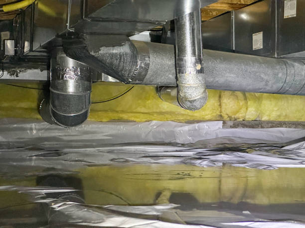 Best Water damage restoration process  in Celebration, FL