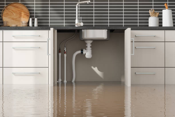 Best Local water damage restoration  in Celebration, FL